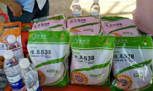 佳玉538