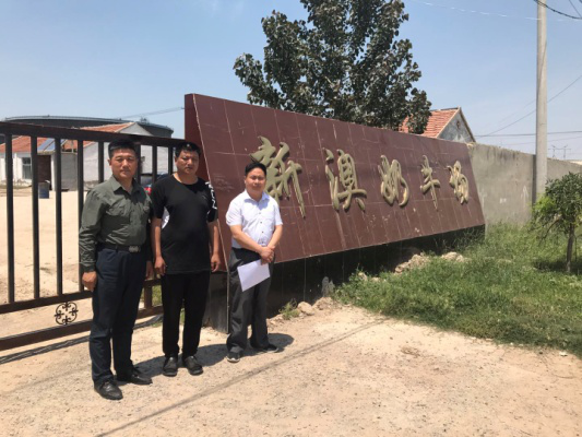 新澳奶牛场 新澳奶牛场
